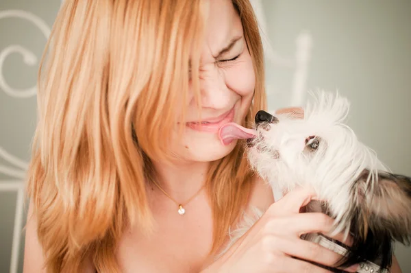 Женщина с милой маленькой собачкой — стоковое фото
