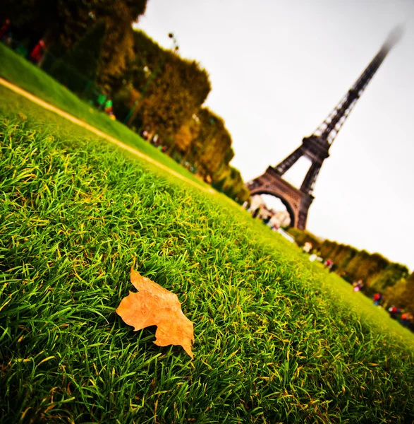 Feuille d'automne sur l'herbe, près de la Tour Eiffel — Photo