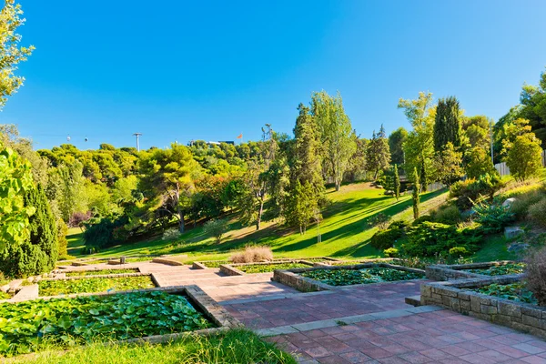 Park på bakken Montjuic i Barcelona. Spanien Stock-billede