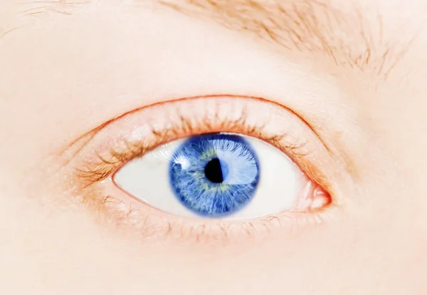 Olho azul humano. tiro macro Imagens Royalty-Free