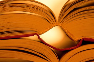 bir kitabın sayfaları