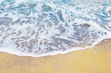 plaj ve tropikal deniz