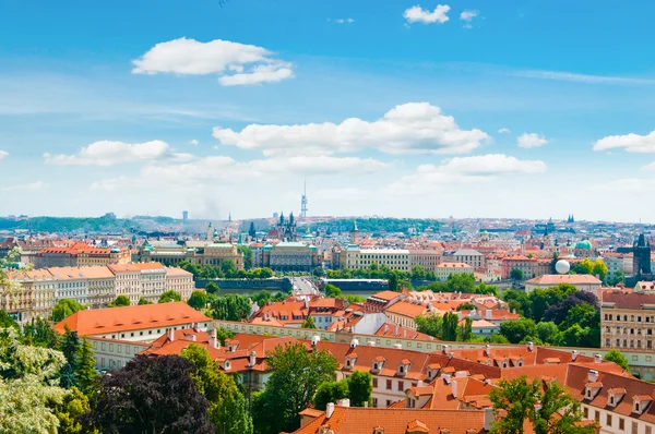 Blick auf Prag vom Hügel — Stockfoto
