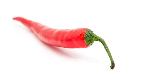 Red hot chili pepper — Stock Photo, Image