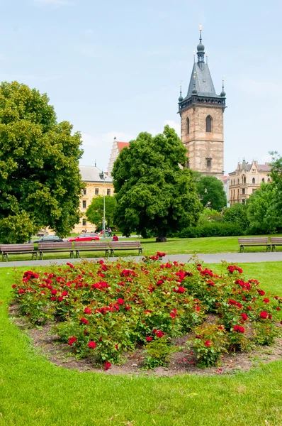 Оновлена ратуша в Празі — стокове фото