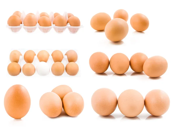 Serie di uova isolate — Foto Stock