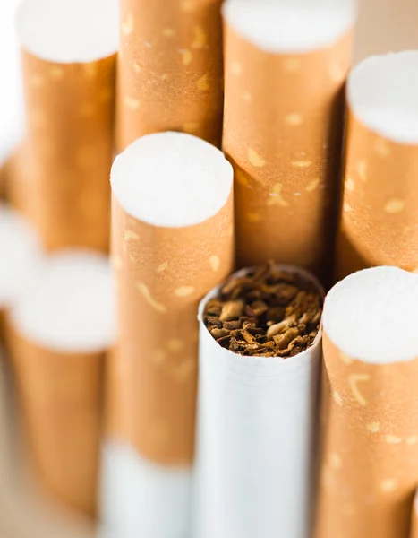 Tobacco in cigarettes with a brown filter close up — Stock Photo, Image