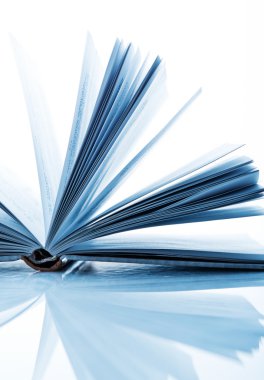 Açık kitap