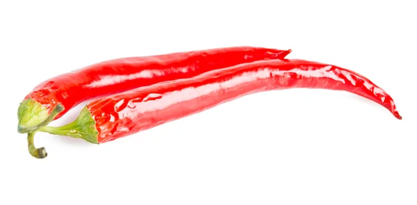 Chili pepper — Stock Photo, Image