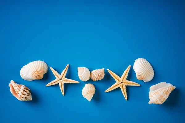 Conchas do mar com estrelas do mar — Fotografia de Stock