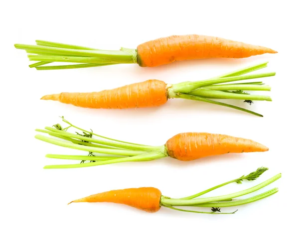 Cenouras freash com folhas em branco — Fotografia de Stock