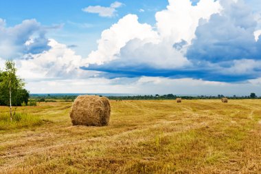 güzel kırsal manzara. saman balya yuvarlak hasat