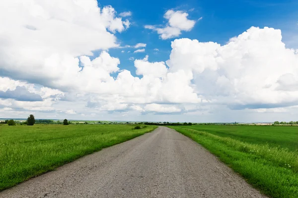 Carretera asfaltada a través del campo verdeasfaltweg door het groene veld — Stockfoto