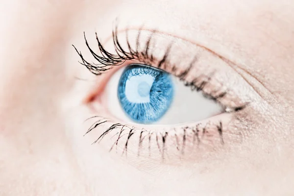 Синий человеческий глаз. макросъемка — стоковое фото