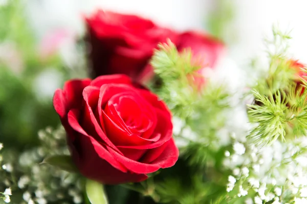 Primo piano di una rosa rossa con nebbia su fioritura — Foto Stock