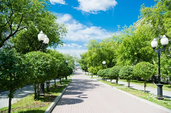 Groene stadspark — Stockfoto