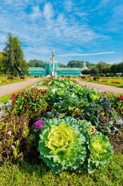 kuskovo Park flowerbed