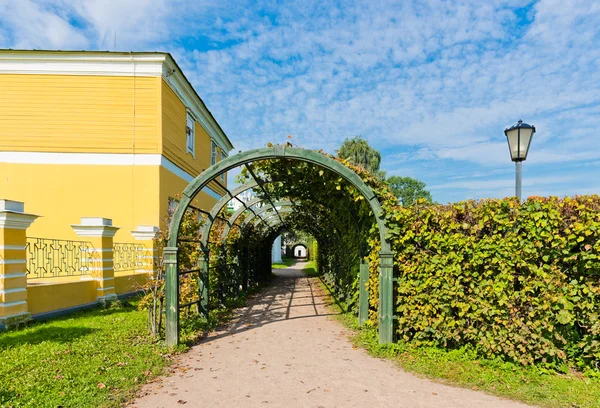 Alley in The Park of Kuskovo — Stock Photo, Image