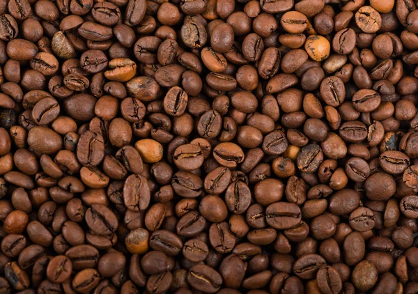 Coffee beans — Stock Photo, Image