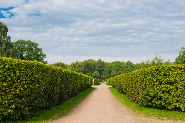 Steegje in het park van kuskovo — Stockfoto