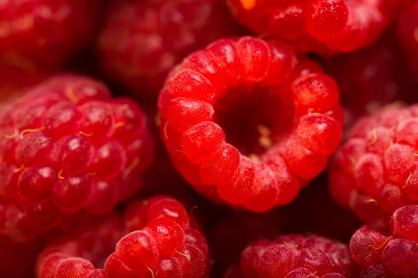 라즈베리 과일 배경 — 스톡 사진