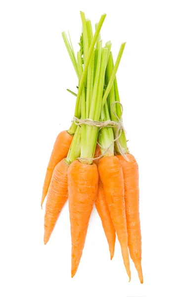 Légumes aux carottes avec feuilles — Photo