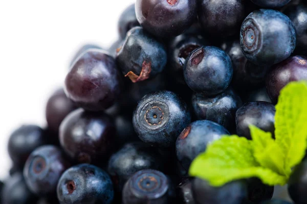Blueberry with mint Stock Image