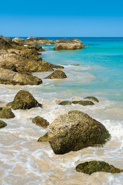 Praia de pedras tropicais — Fotografia de Stock