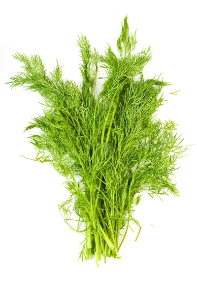 Mazzo di aneto fresco erba — Foto Stock