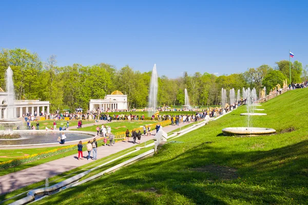 Turistas visitam os pontos turísticos do parque inferior de Peterhof — Fotografia de Stock