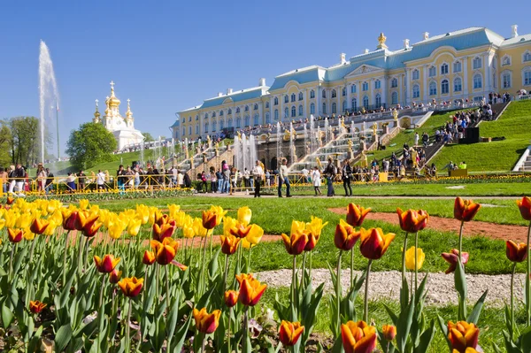 Turistas visitam os pontos turísticos do parque inferior de Peterhof — Fotografia de Stock