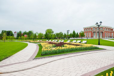 Güneşli yaz gününde yeşil şehir parkı 