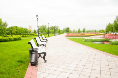 Güneşli yaz gününde yeşil şehir parkı 