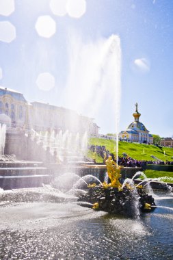  peterhof palace yakınındaki grand cascade Samson Çeşmesi. 