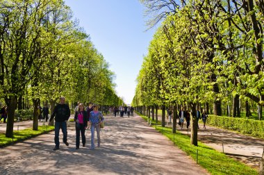 Avenue peterhof, st.petersburg, Rusya Federasyonu 