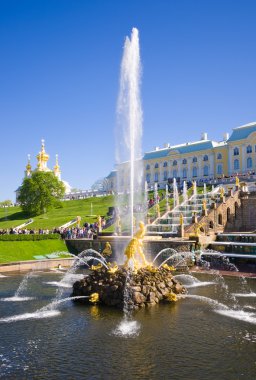  peterhof palace yakınındaki grand cascade Samson Çeşmesi. 