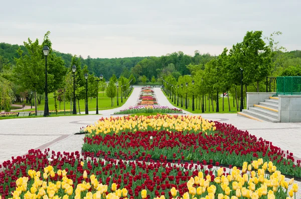 Zielony park miejski w słoneczny letni dzień — Zdjęcie stockowe