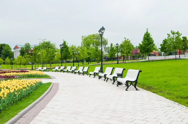 Güneşli yaz gününde yeşil şehir parkı — Stok fotoğraf