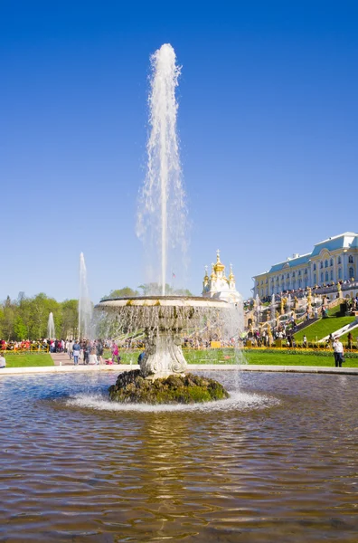 The Bowl Fountain in Peterhof. — Stock Photo, Image