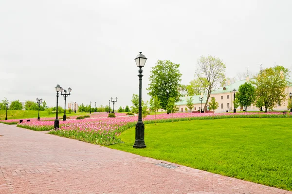 Zöld városi park napsütéses nyári napon — Stock Fotó