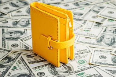 dolar üzerinde dinlenme cüzdan