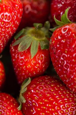 pek çok kırmızı olgun çilek.