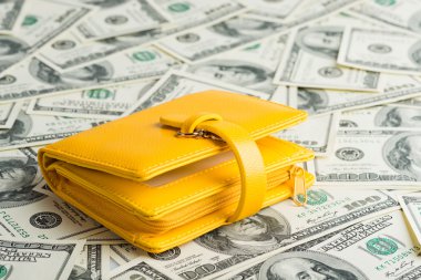 dolar üzerinde sarı cüzdan
