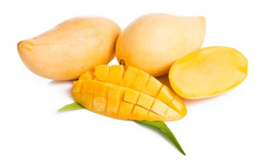 Mango meyve