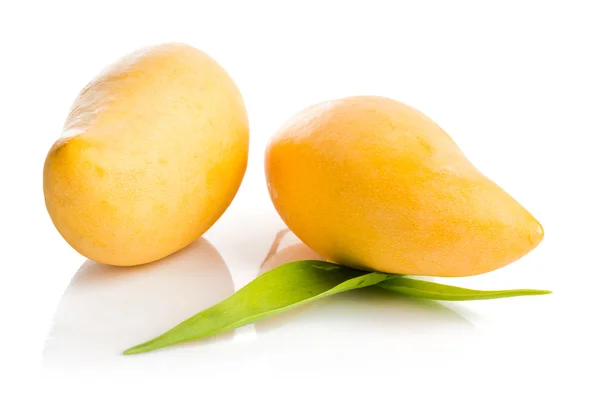 Frutta di mango — Foto Stock