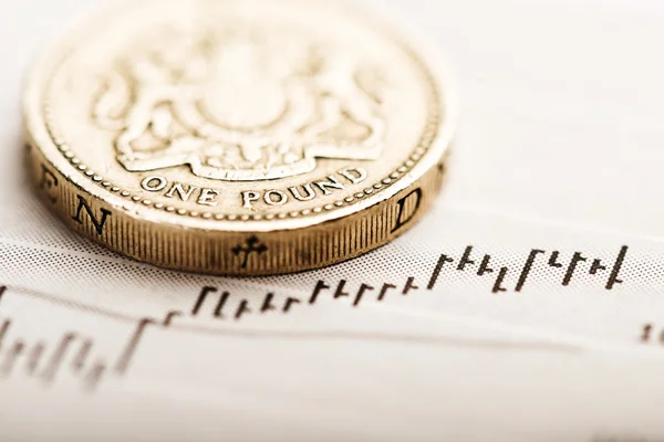 One pound coin — Stock Photo, Image