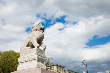 Çin aslanı shi-tsza, st petersburg