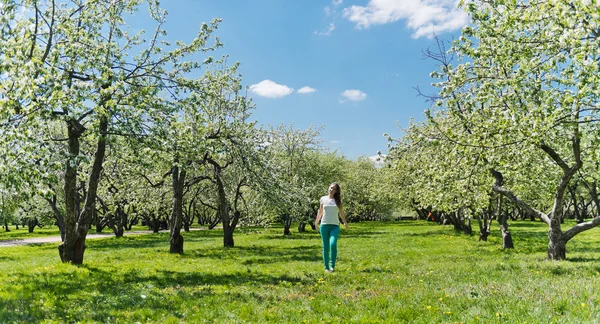 Girl in park — Stock Photo, Image