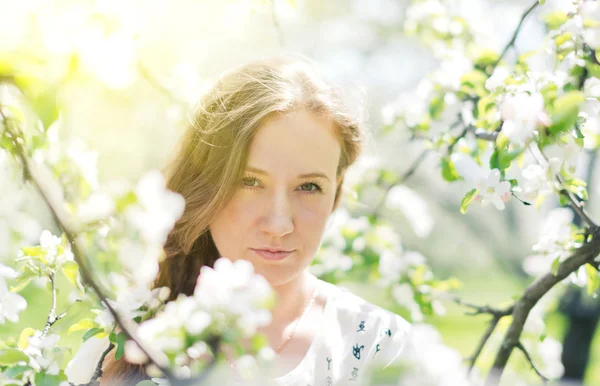 Girl with apple blossom — Stock Photo, Image