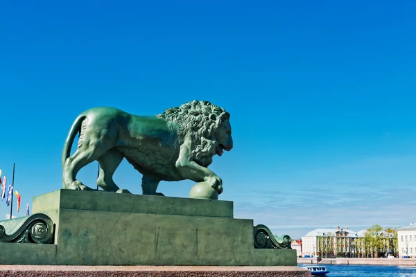São Petersburgo, leão — Fotografia de Stock